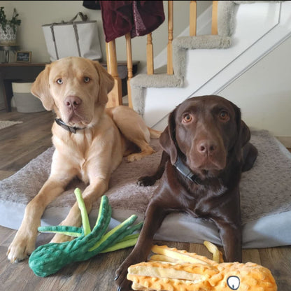 Jouet poulpe résistant à la mastication